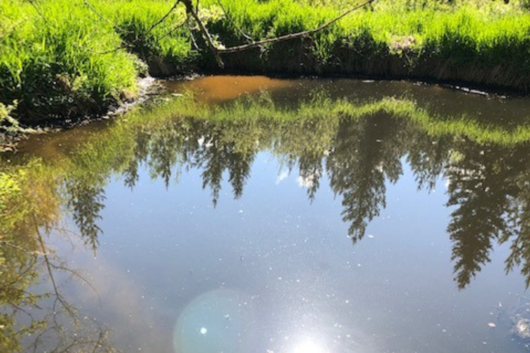 residential Sewage Lagoon