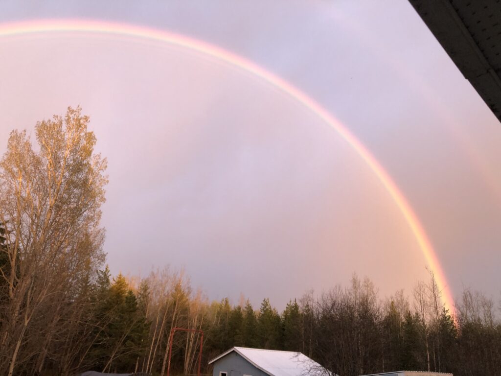 Rainbow over the farm